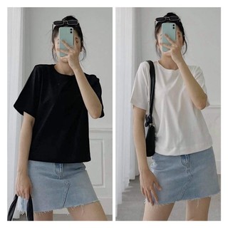Áo thun Babytee Trơn Cá Tính, Áo Thun Nữ Babytee cotton co dãn🌸