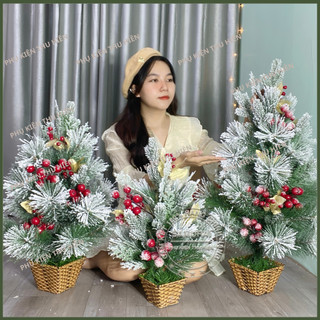 Cây thông noel để bàn mini cước đầu loa phủ tuyết có trang trí 45cm, 60cm, 75cm - trang trí giáng sinh