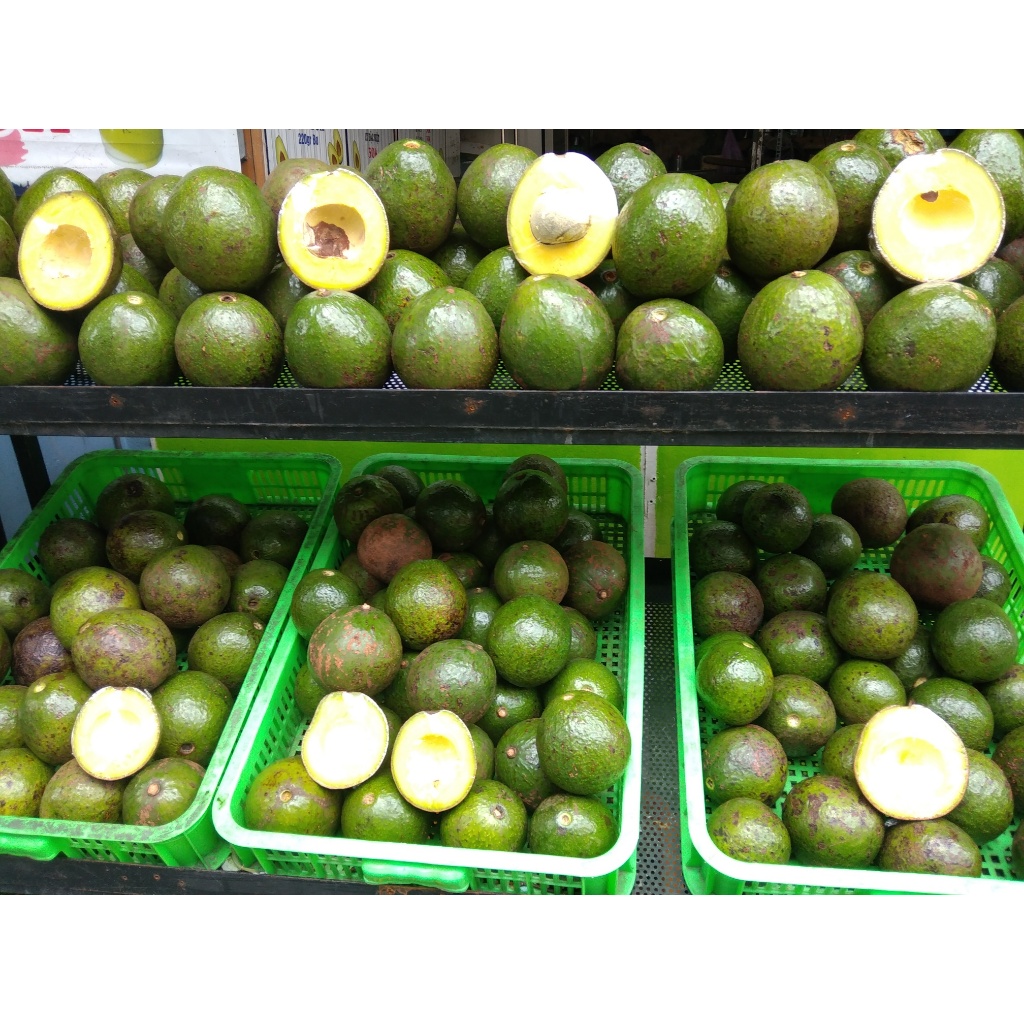 Bơ booth da nám dẻo ngon    -1kg