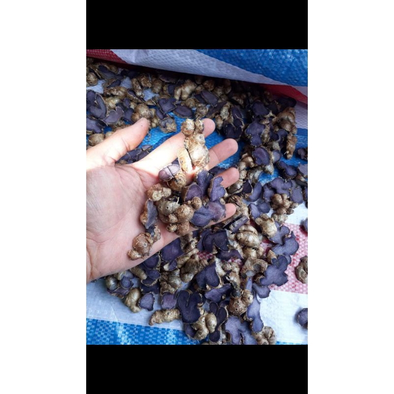 1kg GỪNG ĐEN TƯơI TÂY BẮC