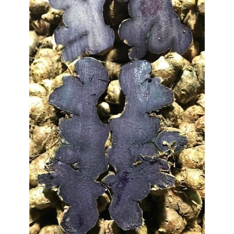 1kg GỪNG ĐEN TƯơI TÂY BẮC