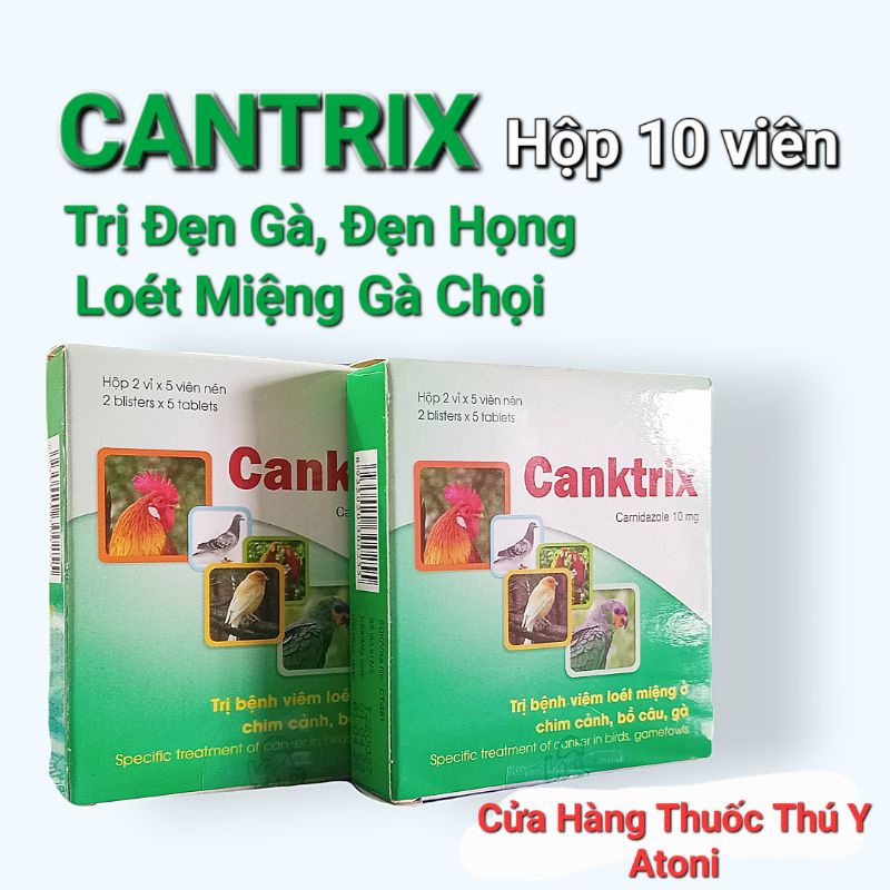 CANTRIX - Đẹn Gà Hộp 10 viên