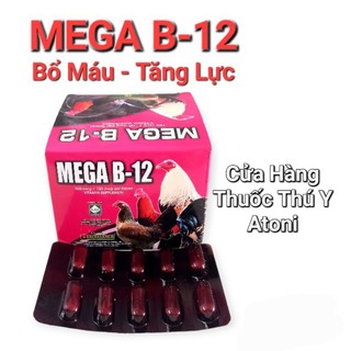 Mega b12 - bổ máu, tăng lực
