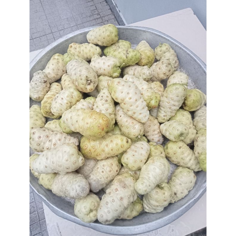 1kg trái nhàu tươi