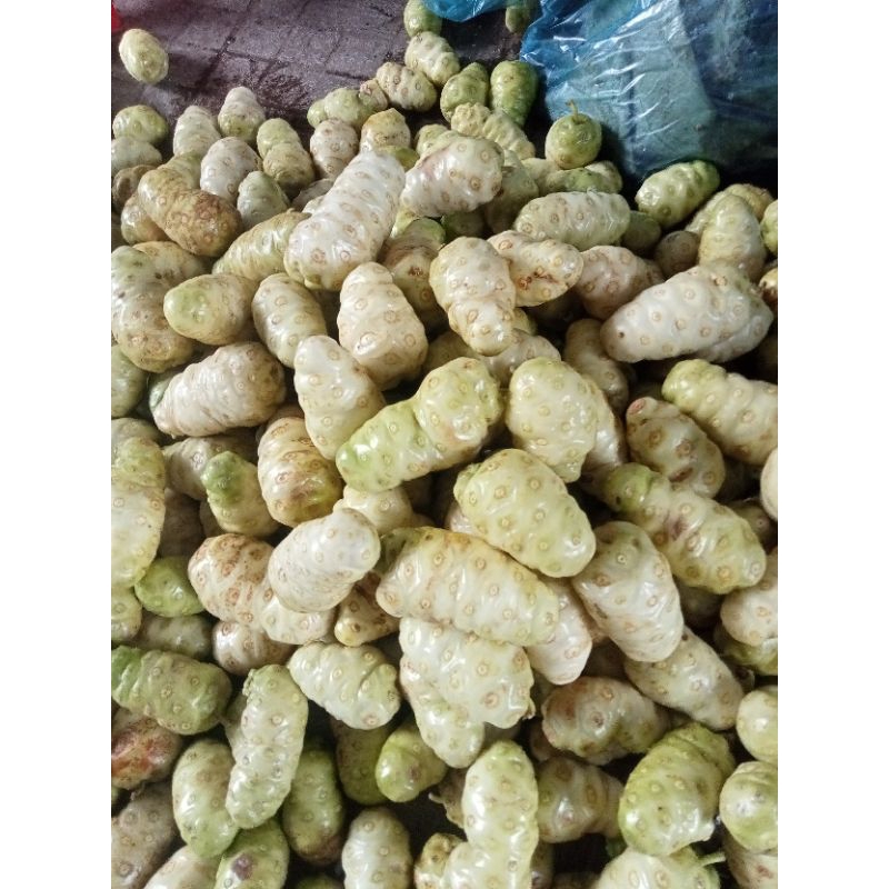 1kg trái nhàu tươi