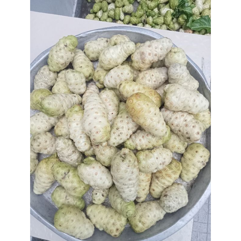 2kg trái nhàu tươi quả nhàu trái nhào quả nhào hỏa tốc 1h nhận hang