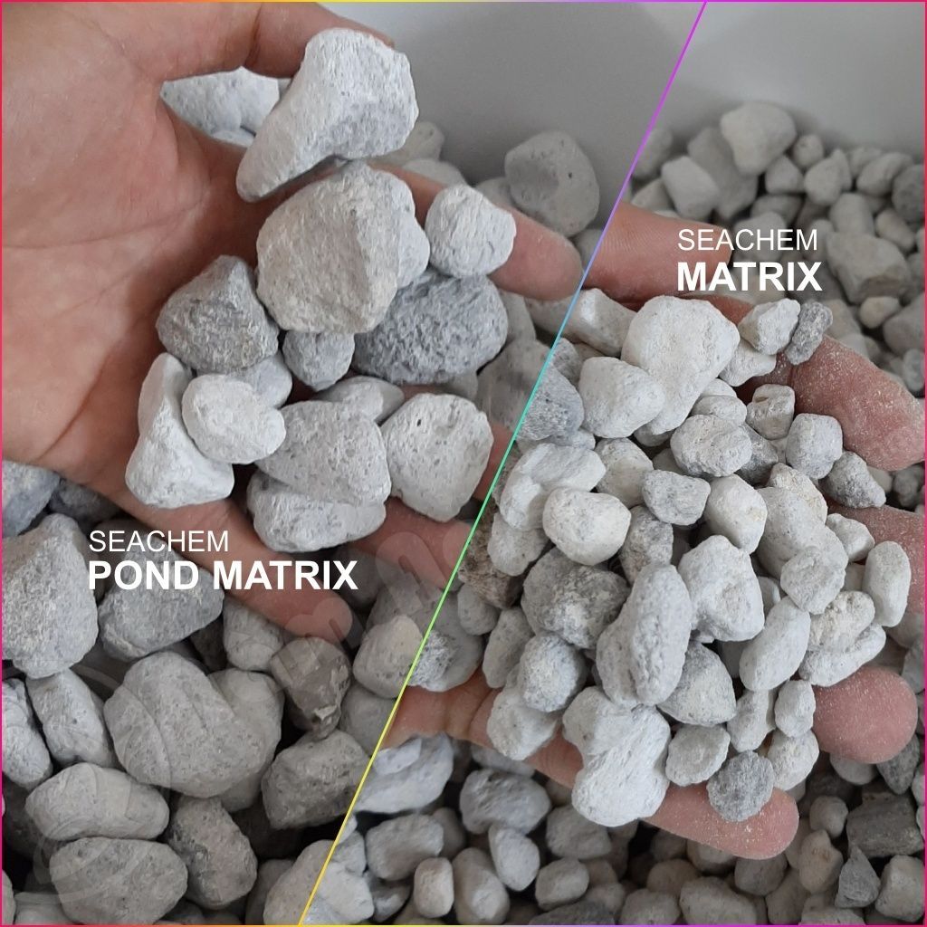 Đá MATRIX Vật Liệu Lọc Cao Cấp Cho Bể Cá Thủy Sinh 100ml
