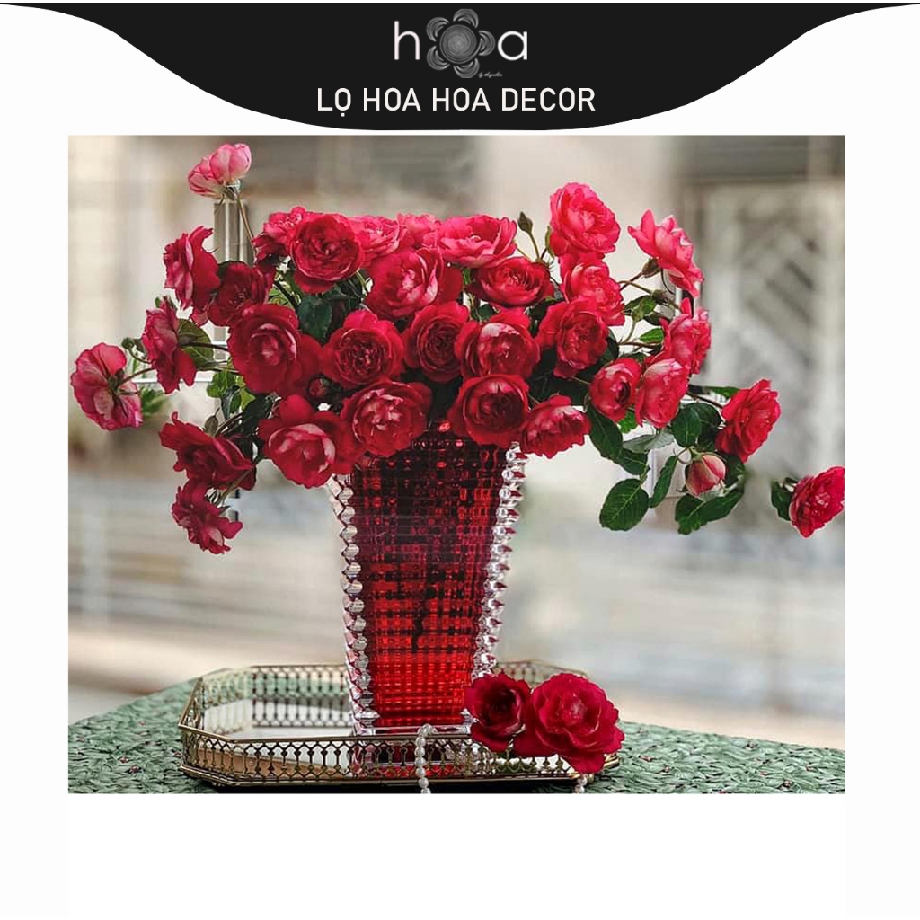 Lọ hoa thủy tinh cao cấp, trụ cao (có ảnh chụp cận chất).Lọ hoa h.O.a Decor