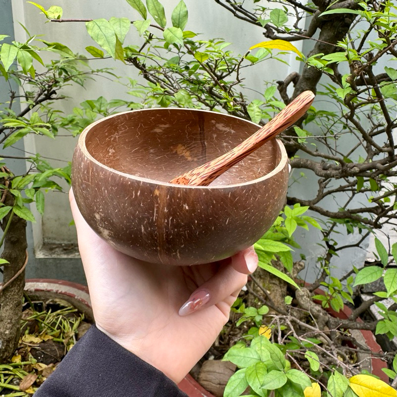 Combo Chén Và Muỗng Gáo Dừa - Size mini 9cm-11cm