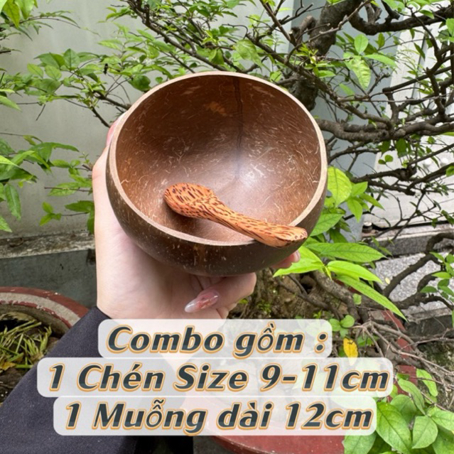 Combo Chén Và Muỗng Gáo Dừa - Size mini 9cm-11cm