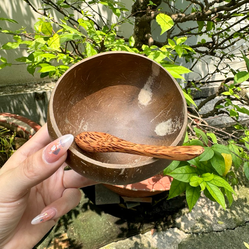Combo Chén Và Muỗng Gáo Dừa - Size mini 9cm-11cm