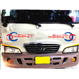 Tem Hyundai County - Hanagangsan 20x60cm sl 2 tem