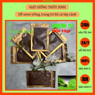 Hạt giống thủy sinh trang trí hồ cá
