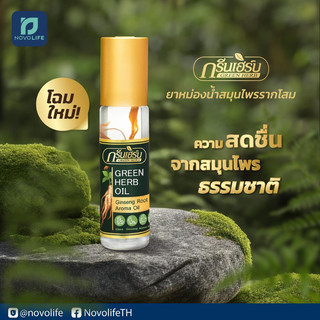 Combo 12 Chai Dầu Sâm Green Herb Oil (loại 1)