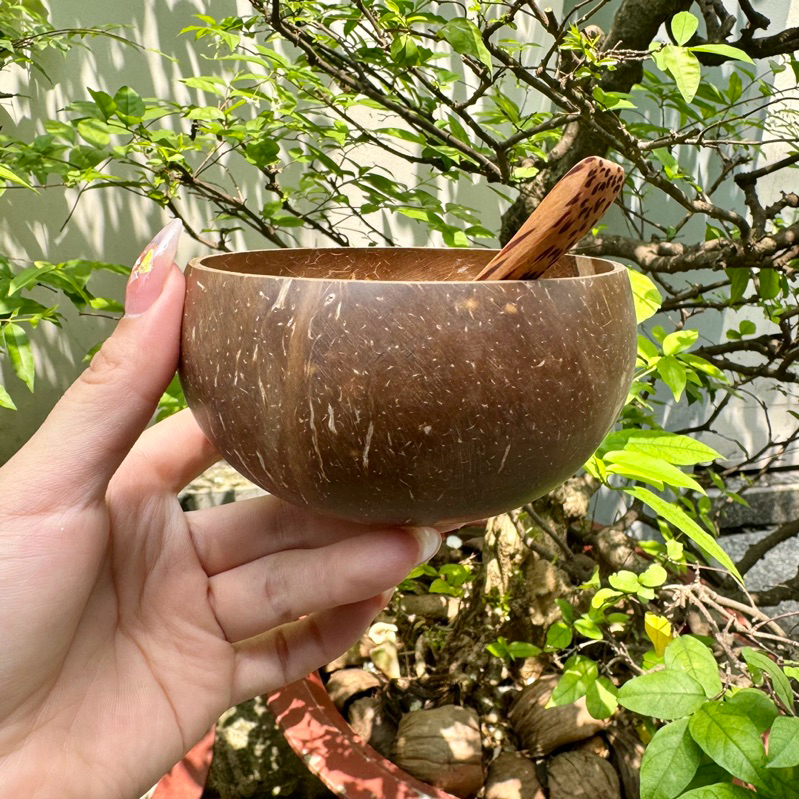 Combo Chén Và Muỗng Gáo Dừa - Size mini 9cm-11cm