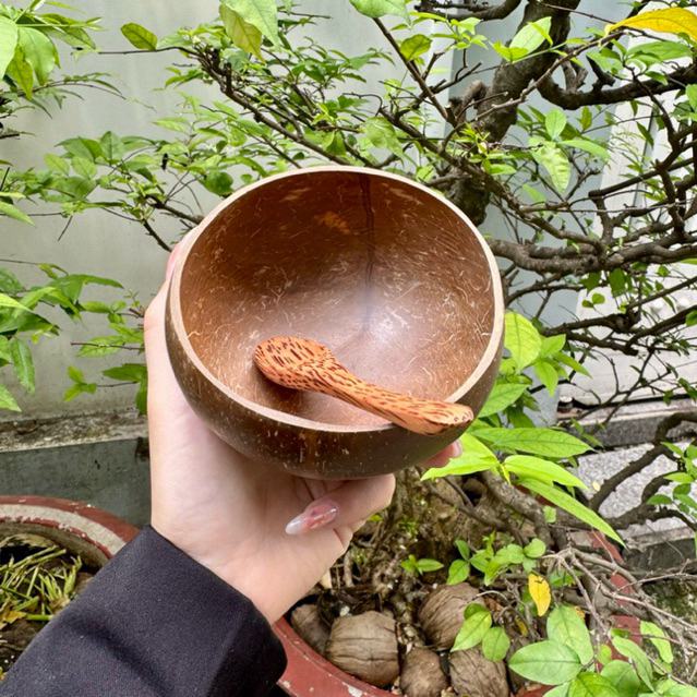 Combo Chén Và Muỗng Gáo Dừa - Size mini 9cm-11cm