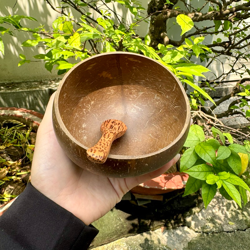 Combo Chén Và Muỗng Gáo Dừa - Size mini 9cm-11cm