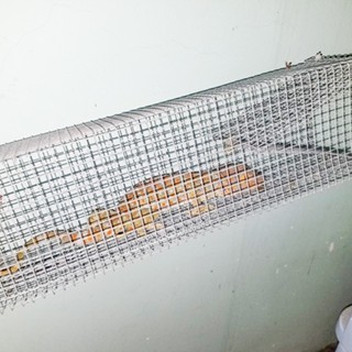 2 lồng bẫy tắc kè lưới chì 4 ly sử dụng mồi dế