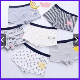 Set 5 quần chip đùi cotton cho bé trai  size 10kg-40kg