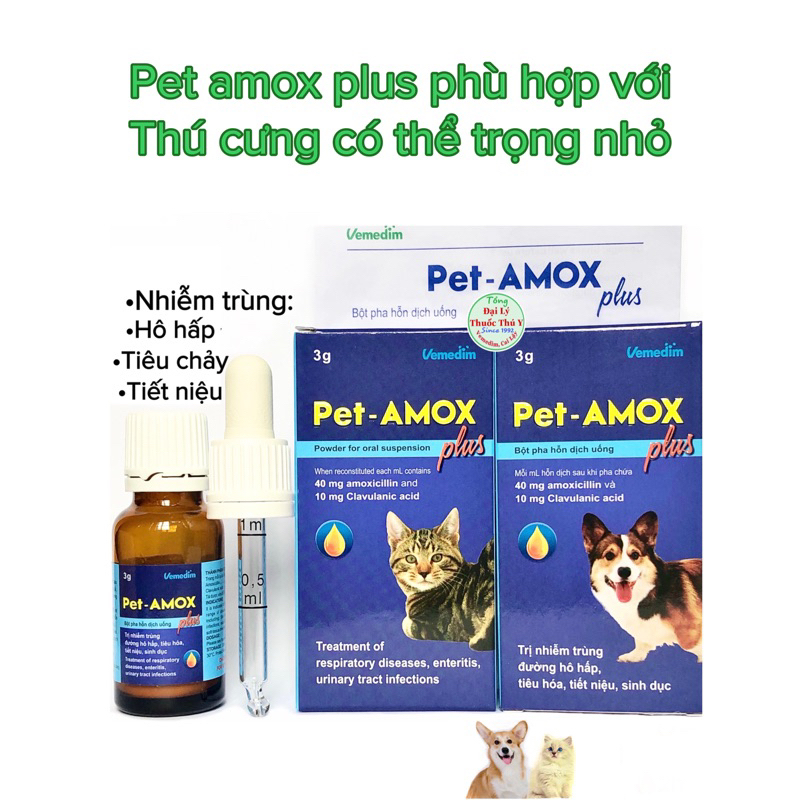 CLAMOX dùng cho chó mèo bị nhiễm trùng hô hấp, tiêu hoá, tiết niệu, da