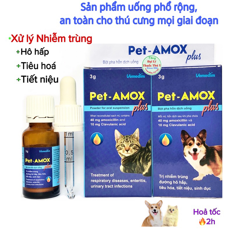 Pet AMOX plus cho chó mèo: các nhiễm trùng, viêm vết thương