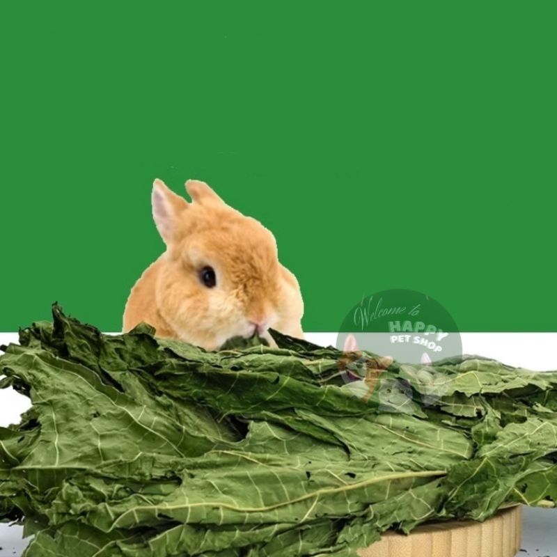 Lá đu đủ sấy lạnh. Hộp 30g