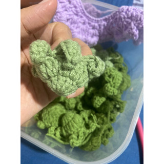 Đài hoa hồng ib để chọn màu
