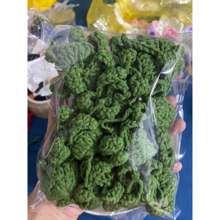 Đài hoa hồng ib để chọn màu