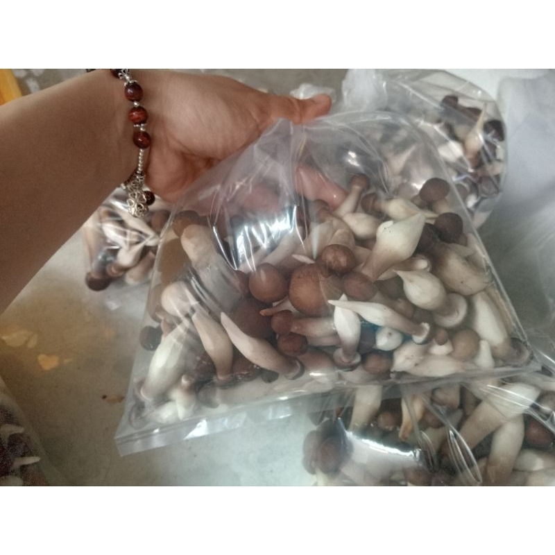 Nấm Mối Đen Tươi