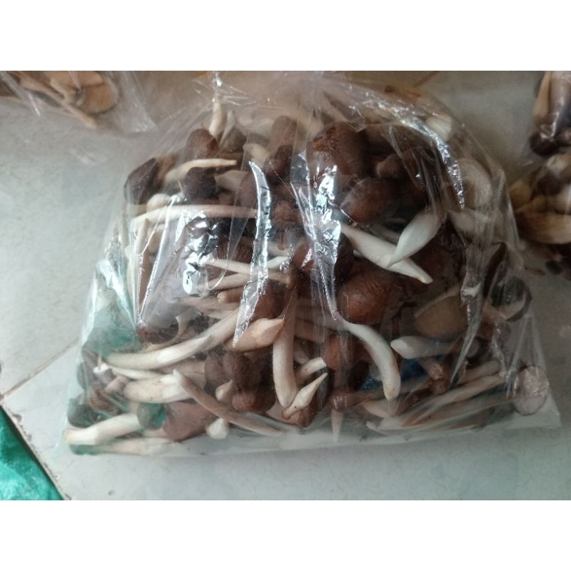 500g Nấm Mối Đen Tươi