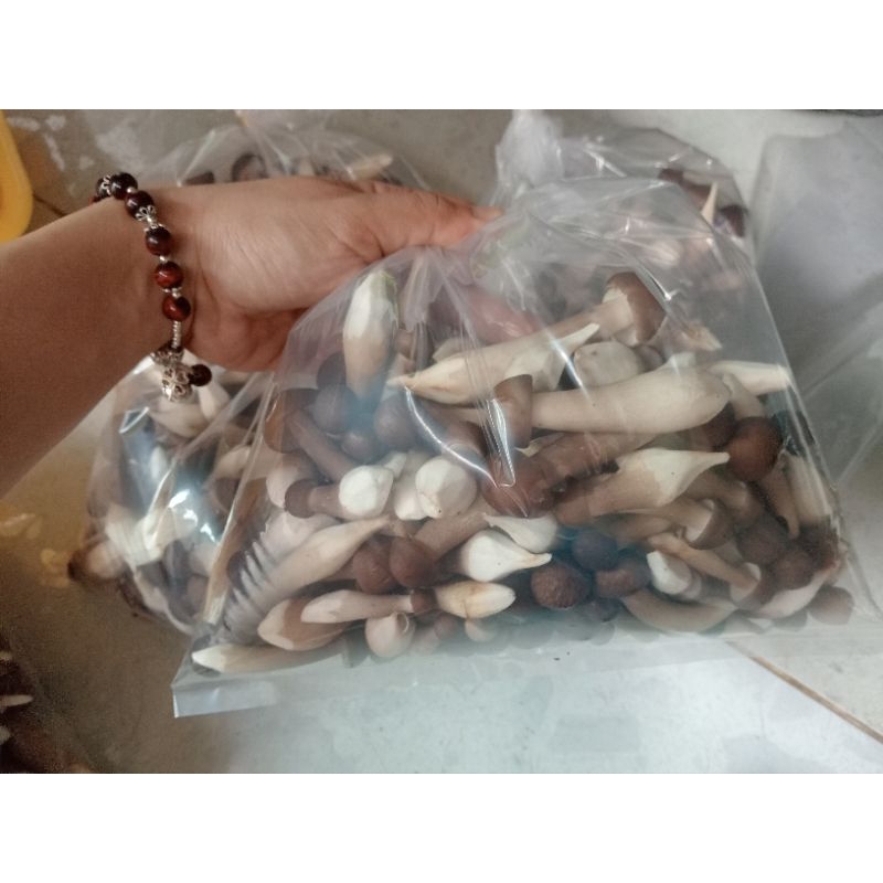 Nấm Mối Đen Tươi