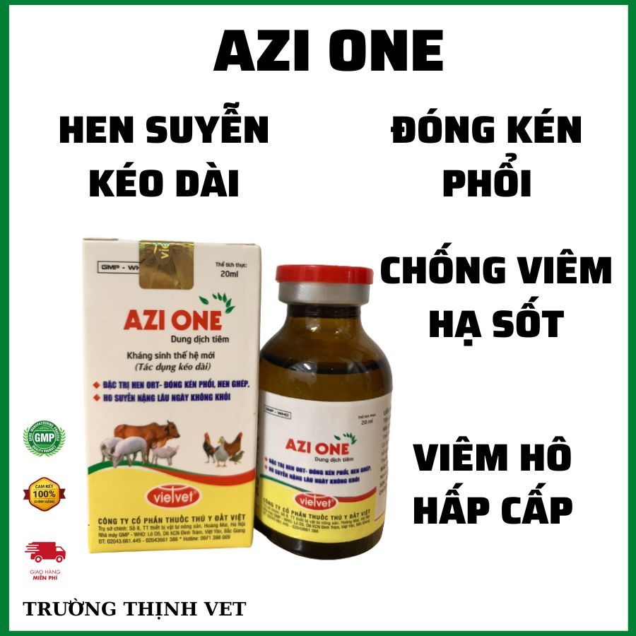 Azi one 20ml viêm phổi nặng, ho hen kéo dài, viêm phổi dính sườn