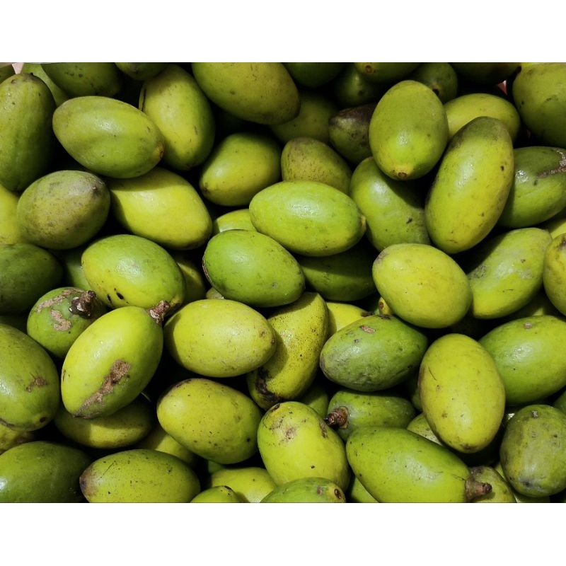 1kg trám tươi, trám trắng, trám xanh giao hoả tốc