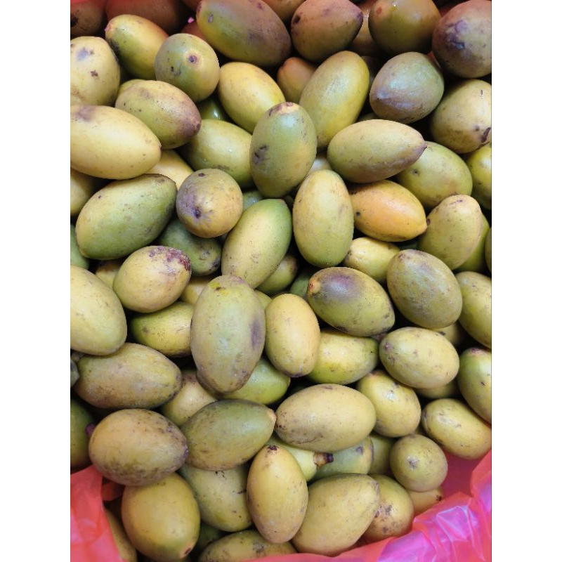 1kg trám tươi, trám trắng, trám xanh giao hoả tốc