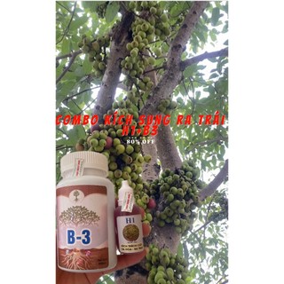 thuốc kích ra quả