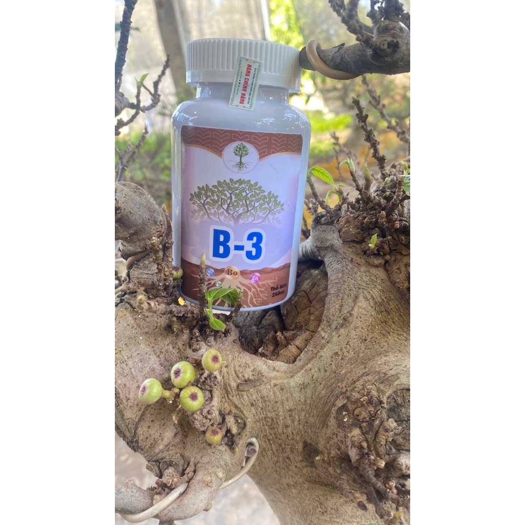 Chế phẩm b3 và h1