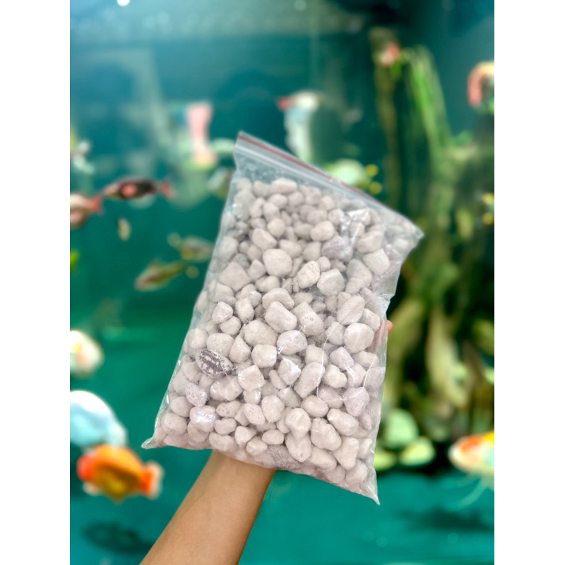 Vật liệu lọc Seachem Matrix túi 1L