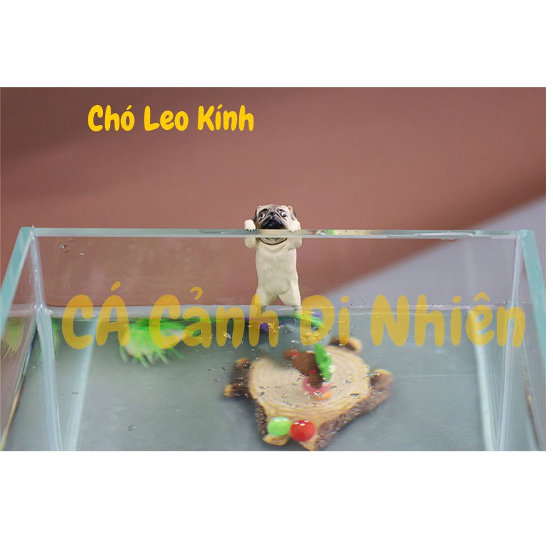 Mô hình chú chó bám thành hồ cá tiểu cảnh trang trí bể thủy sinh bằng nhựa