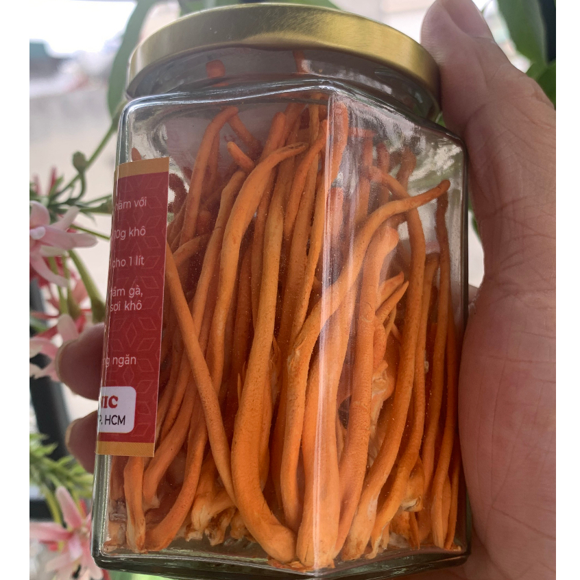 Đông trùng hạ thảo hữu cơ thượng hạng sấy thăng hoa 25g,đông trùng hạ thảo khô sấy lạnh