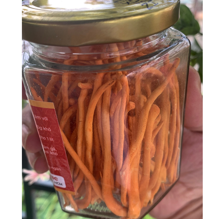 Đông trùng hạ thảo hữu cơ thượng hạng sấy thăng hoa 25g,đông trùng hạ thảo khô sấy lạnh