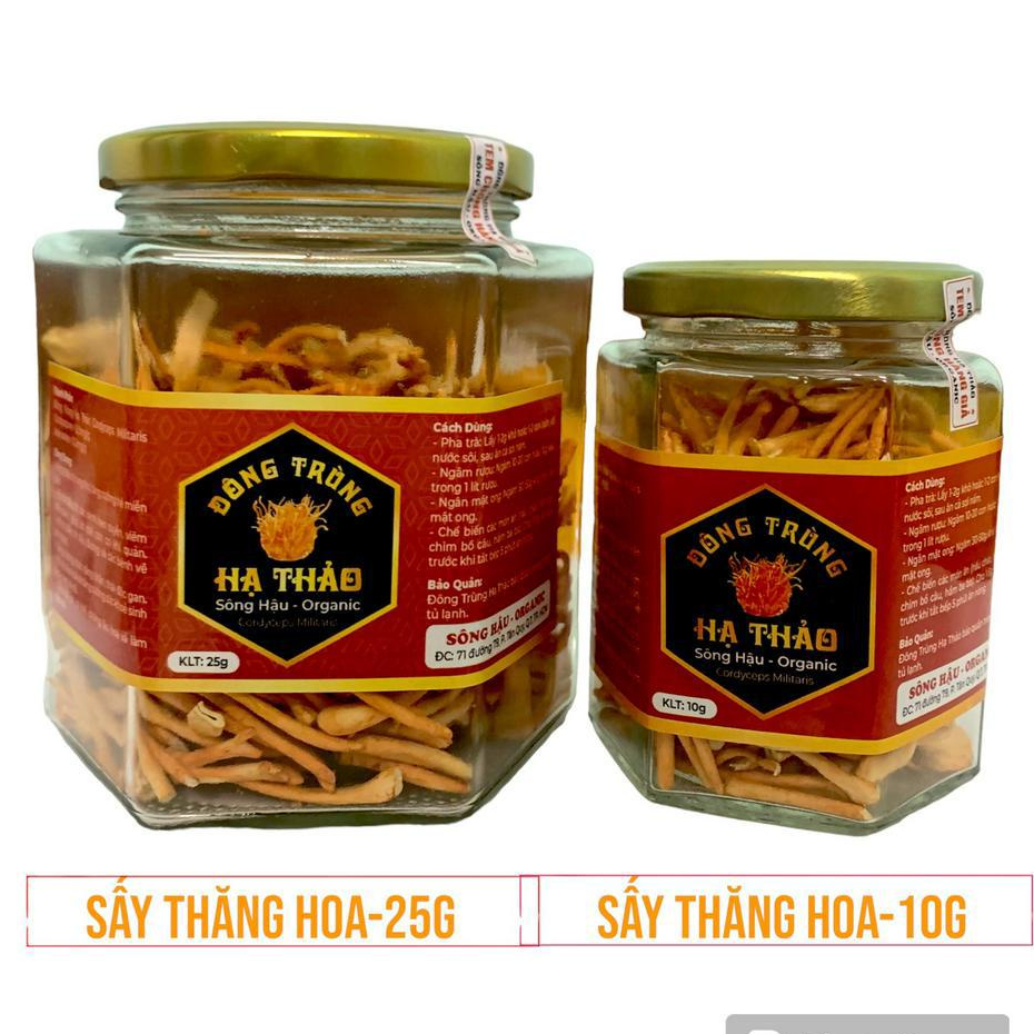 Đông trùng hạ thảo hữu cơ thượng hạng sấy thăng hoa 25g,đông trùng hạ thảo khô sấy lạnh