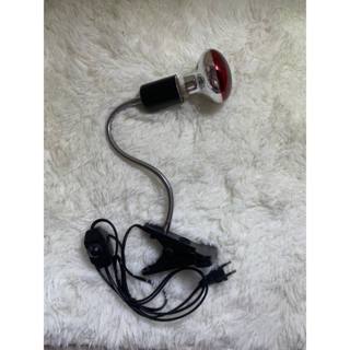  BỘ ĐÈN SƯỞI DẠNG KẸP HỒNG NGOẠI CÓ ĐIỀU CHỈNH NHIỆT ĐỘ VÀ ÁNH SÁNG CHO THÚ CƯNG 