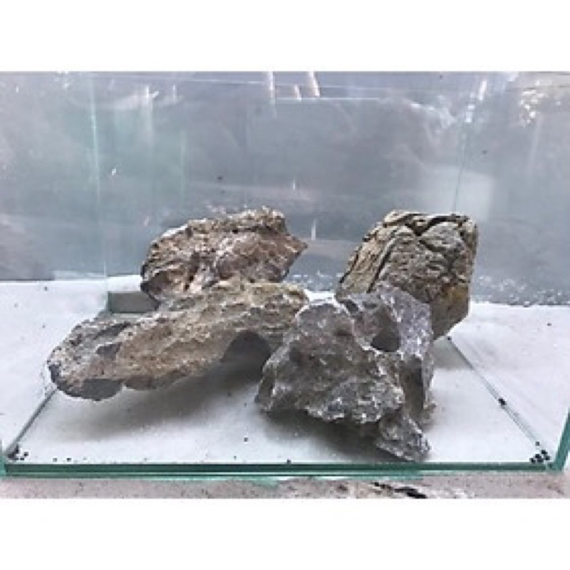 ĐÁ TAI MÈO THỦY SINH-2KG/30k