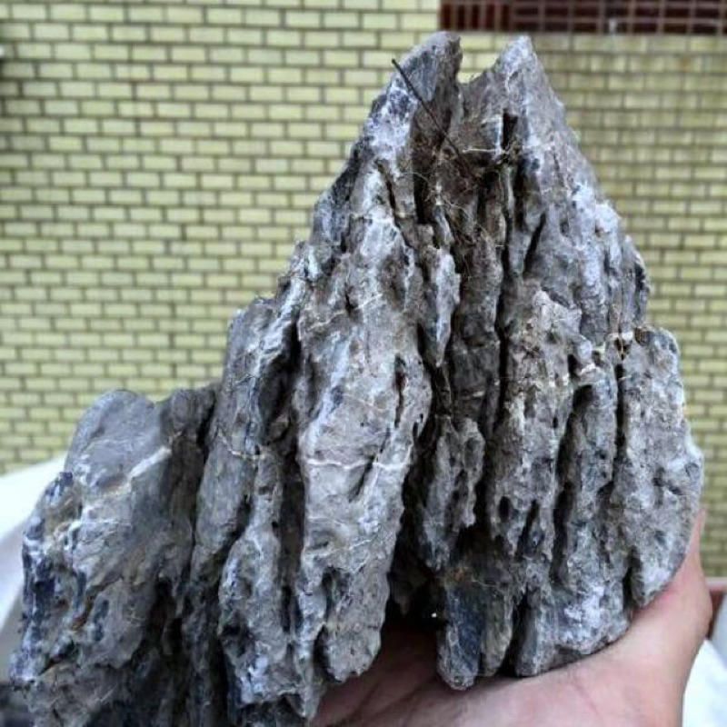 ĐÁ TAI MÈO THỦY SINH-2KG/30k