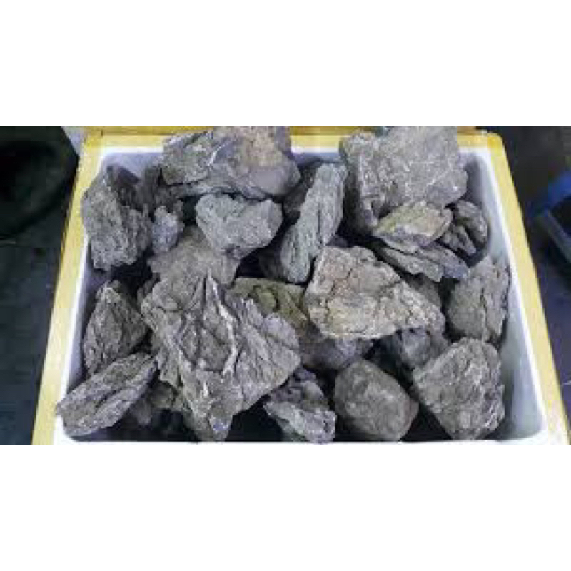 ĐÁ TAI MÈO THỦY SINH-2KG/30k