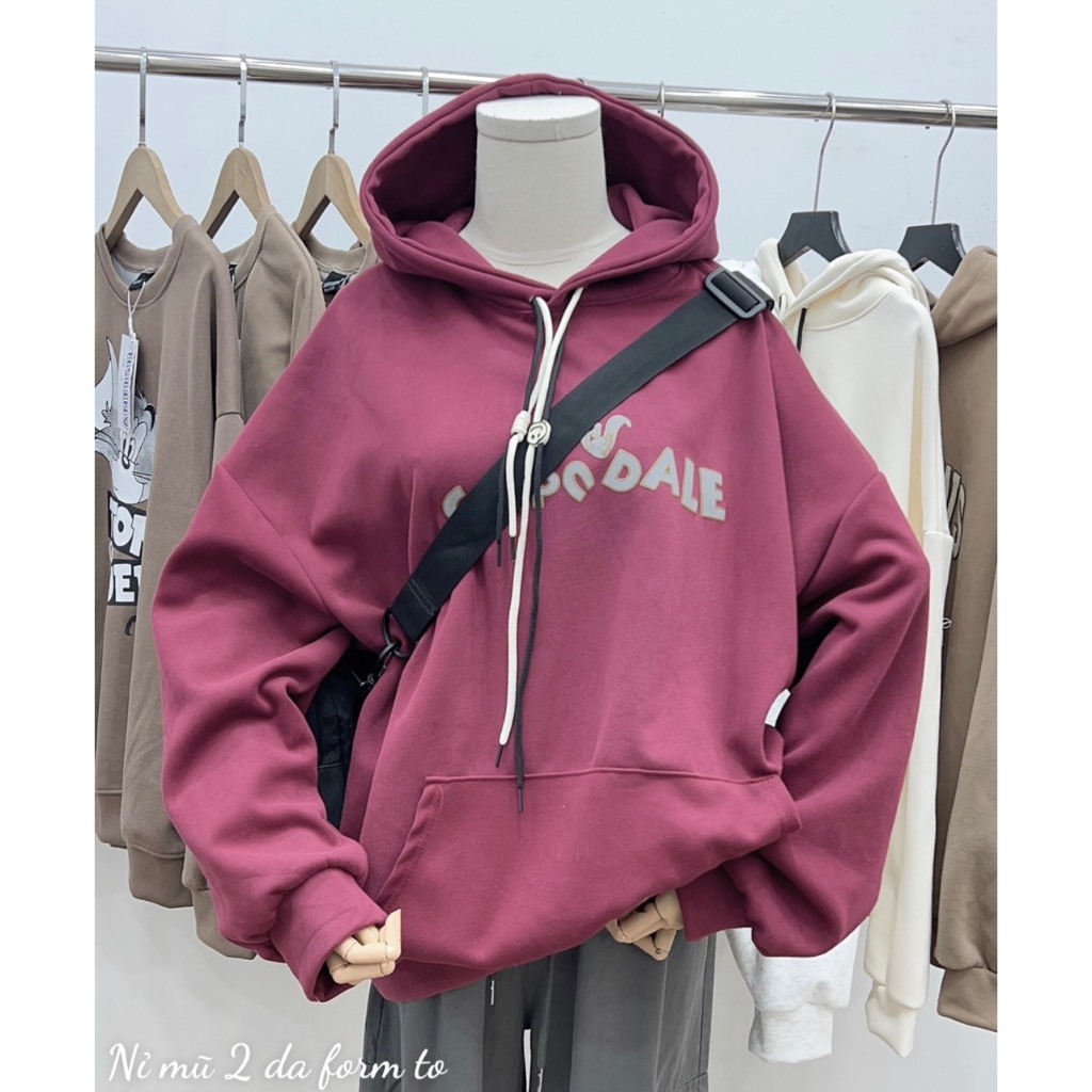 Áo hoddies 2s chữ