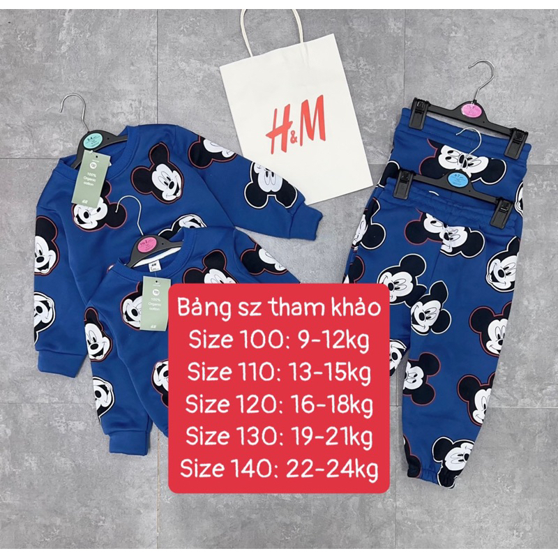 Bộ nỉ in hình mickey cho bé