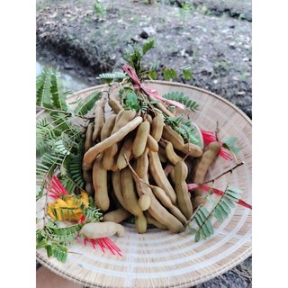 Me chín cây lột vỏ nguyên chất không pha trộn