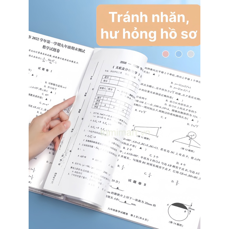 File Lá Đựng Tài Liệu A4 TOMI Size 30/40/60 Tờ Nhiều Mẫu Hoạ Tiết Hoạ Hình Dễ Thương 147