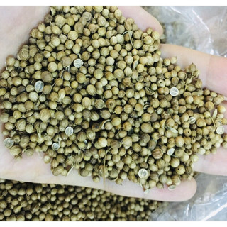 Hạt mùi 500g - 1kg
